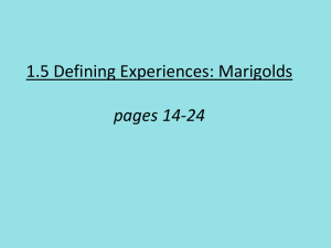 1.5 Defining Experiences: Marigolds
