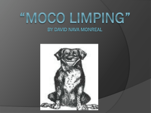 “Moco Limping” by David Nava Monreal T