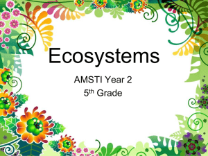 Ecosystems PPT