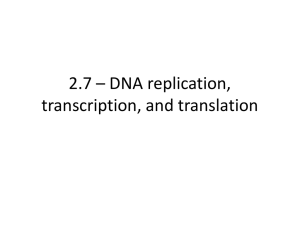2.7 * DNA replication, transcription, and translation
