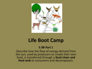 Life Boot Camp - ScienceWilmeth5