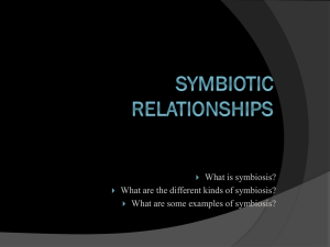 symbiotic Relationships
