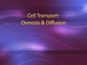 01-06-14 Cell Transport Lesson 1. Osmosis & Diffusion