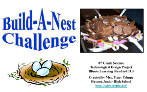 Build-A-Nest Challenge presentation (PPT)