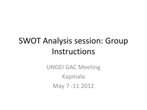 SWOT Analysis session: Group Instructions