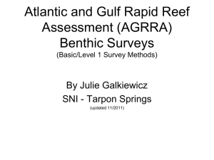 Atlantic and Gulf Rapid Reef Assessment (AGRRA
