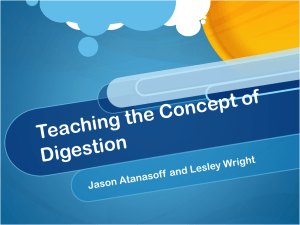 Concept Presentation - Digestion