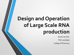 Design and Operation of Large Scale RNA production v2