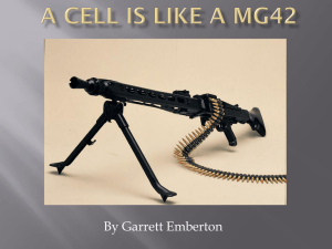 A cell is like an M60E4