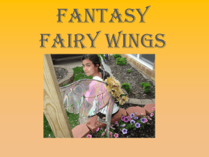 Fantasy Fairy Wings presentation