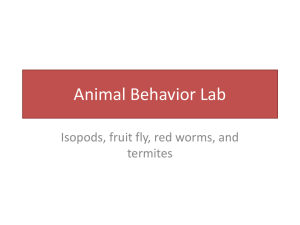 Animal Behavior Lab - Madison County Schools