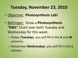Photosynthesis Lab Powerpoint