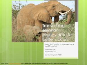 Parker Elephant Data Sheets project