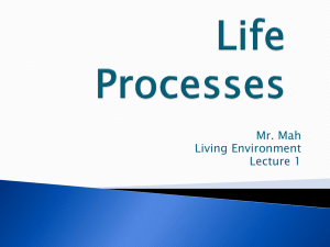 Life Processes - VCLivingEnvironment