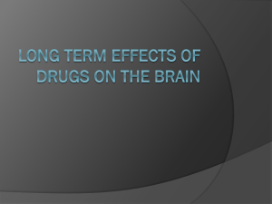 Long Term effects of drugs on the brain