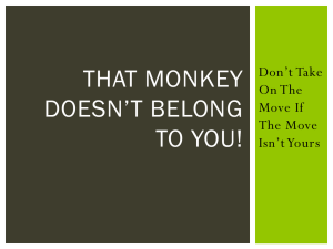 That Monkey Doesn`t Belong to You! Presentation