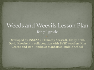 Weeds and Weevils Lesson Plan for 7th grade