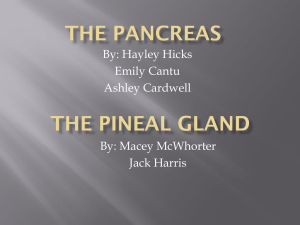 The Pancreas and Pineal Gland