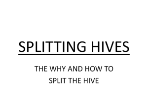 Splitting Hives by Joe Geiger