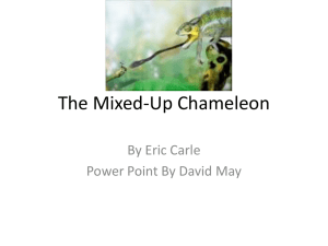 The Mixed- Up Chameleon