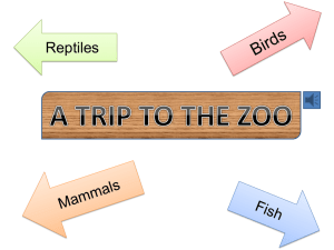A TRIP TO THE ZOO