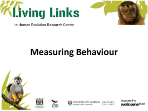 Measuring Primate Behaviour