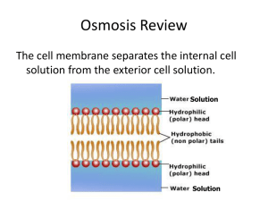 cell membrane review