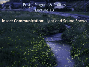 Pests, Plagues & Politics