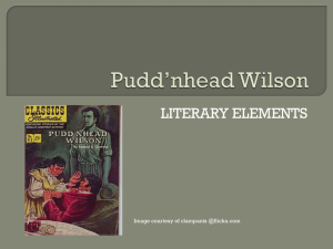 Pudd`nhead Wilson Literary Elements