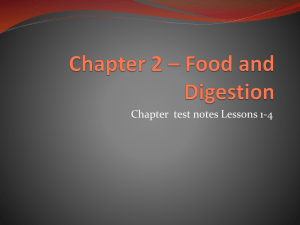 Chapter 2 * Food and Digestion