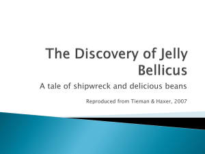 The Discovery of Jelly Bellicus