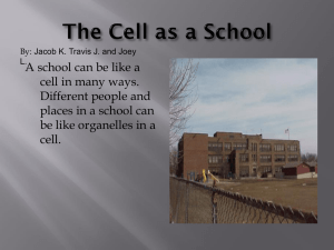 The Cell as a School