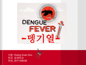 Dengue fever - WordPress.com
