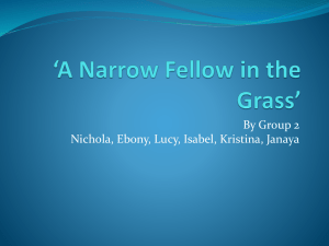 A Narrow Fellow in the Grass` powerpoint