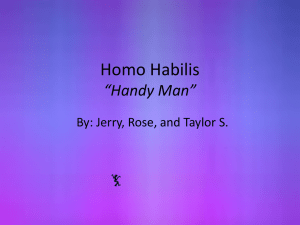 Homo habilis - Ms. McClure`s Class