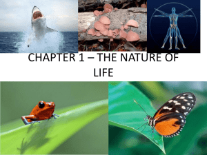 CHAPTER 1 * THE NATURE OF LIFE