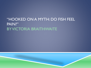 *Hooked on a myth: do fish feel pain?* by Victoria Braithwaite
