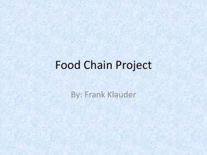 Food Chain Project