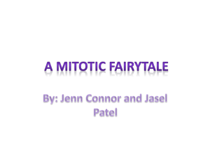 mitosis fairytale