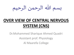 13OVERVIEW OF CNS-II