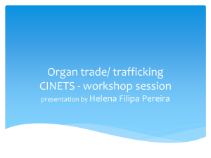 workshop session presentation by Helena Filipa Pereira