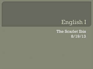 THE SCARLET IBIS Powerpoint