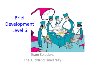 Brief Development Level 6 - Technology NZ