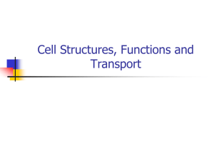 Cell structures and functions