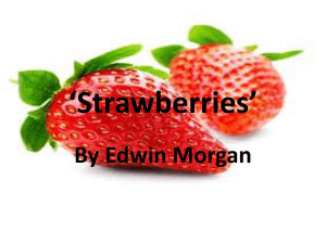 Strawberries Intro`