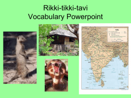 Rikki tikki tavi essay