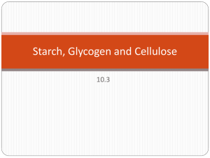 Starch, Glycogen and Cellulose