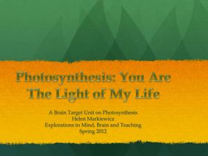 Photosynthesis - Brain