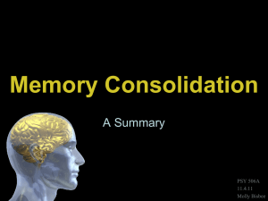 Memory Consol..
