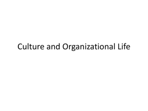 Chapter 3 Culture and organizational life